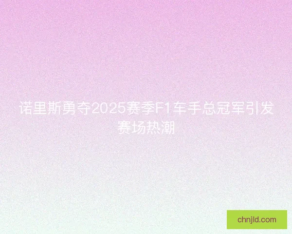 诺里斯勇夺2025赛季F1车手总冠军引发赛场热潮