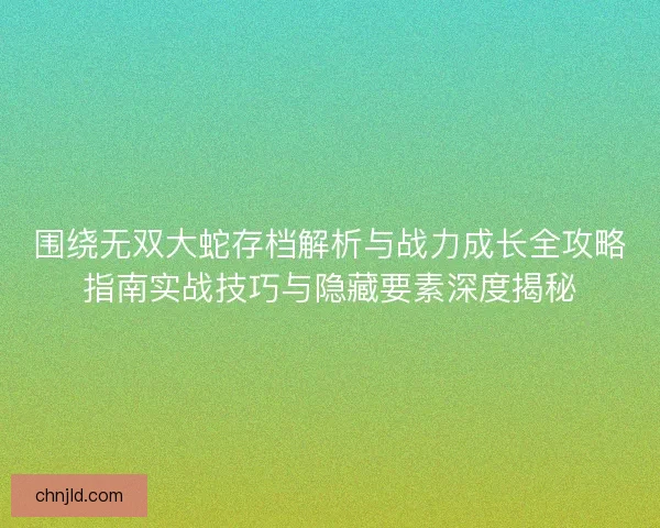 围绕无双大蛇存档解析与战力成长全攻略指南实战技巧与隐藏要素深度揭秘